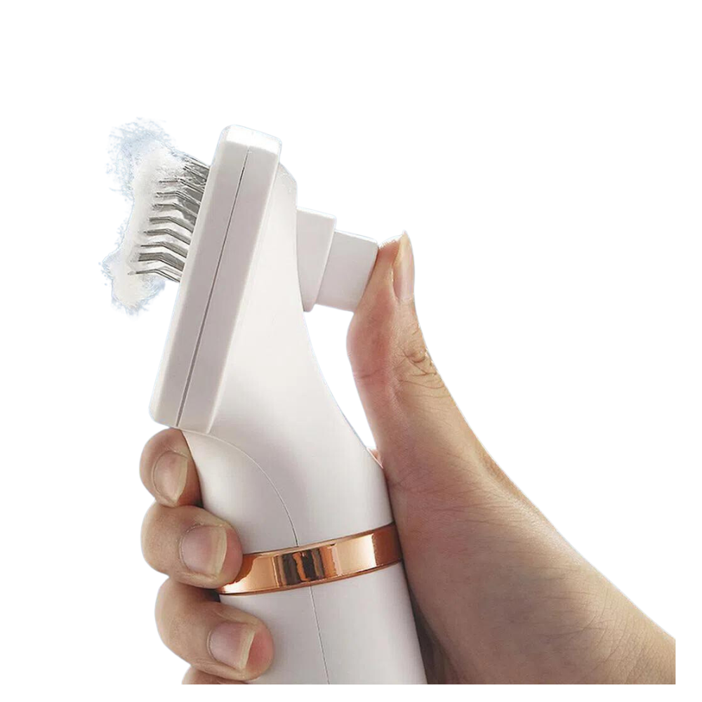 Cepillo Secador De Pelo Portátil Mascota