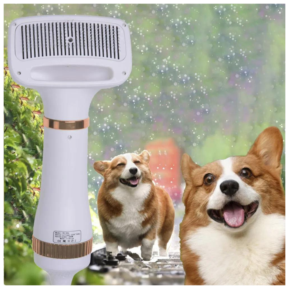 Cepillo Secador De Pelo Portátil Mascota